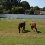 OTRA2014CN_0176 (August 27, 2014)